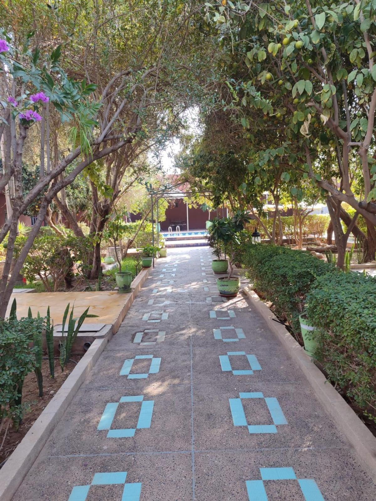 Riad Les Jardins Mabrouk Tarudant Zewnętrze zdjęcie