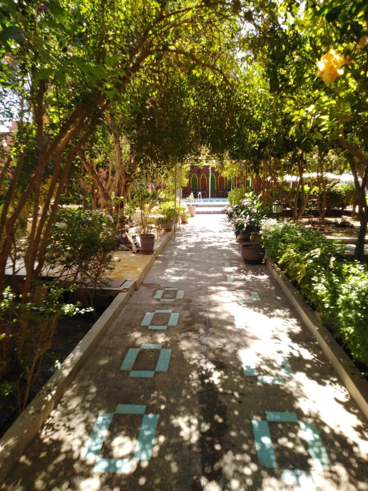 Riad Les Jardins Mabrouk Tarudant Zewnętrze zdjęcie